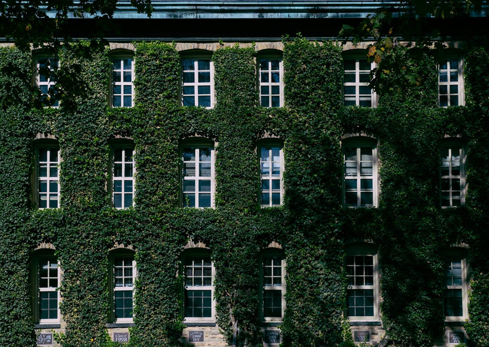 Gotische Universitätsarchitektur in den USA